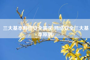 三大基本网络安全需求(网络安全三大基本原则)