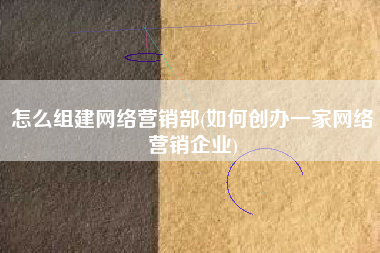 怎么组建网络营销部(如何创办一家网络营销企业)