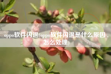 oppo软件闪退(oppo软件闪退是什么原因 ,怎么处理)
