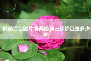 网站后台图片编辑器(第三次换证是多少年)