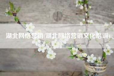 湖北网络营销(湖北网络营销文化培训)