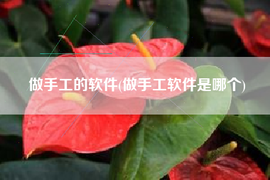 做手工的软件(做手工软件是哪个)