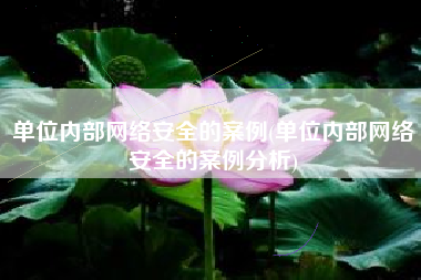 单位内部网络安全的案例(单位内部网络安全的案例分析)