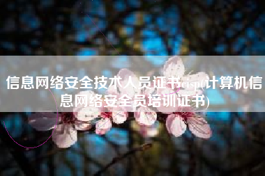 信息网络安全技术人员证书cisp(计算机信息网络安全员培训证书)