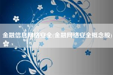 金融信息网络安全(金融网络安全概念股)