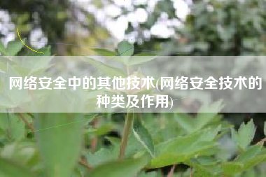 网络安全中的其他技术(网络安全技术的种类及作用)