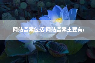 网站备案包括(网站备案主要有)