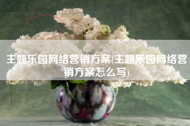 主题乐园网络营销方案(主题乐园网络营销方案怎么写)