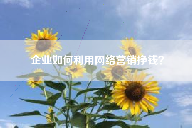 企业如何利用网络营销挣钱？