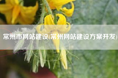 常州市网站建设(常州网站建设方案开发)