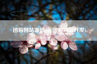团购网站源码asp(团购网站开发)