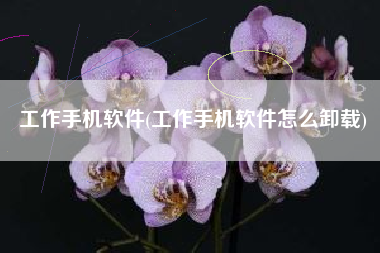 工作手机软件(工作手机软件怎么卸载)