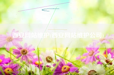 西安网站维护(西安网站维护公司)