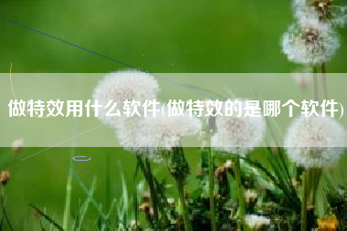做特效用什么软件(做特效的是哪个软件)