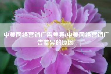 中美网络营销广告差异(中美网络营销广告差异的原因)