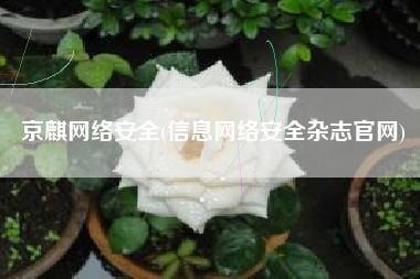 京麒网络安全(信息网络安全杂志官网)