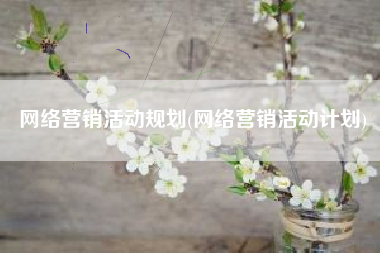 网络营销活动规划(网络营销活动计划)