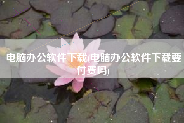 电脑办公软件下载(电脑办公软件下载要付费吗)