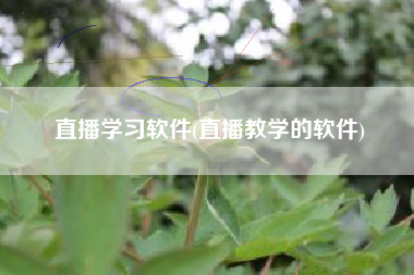 直播学习软件(直播教学的软件)