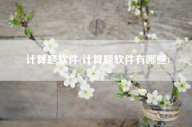 计算题软件(计算题软件有哪些)