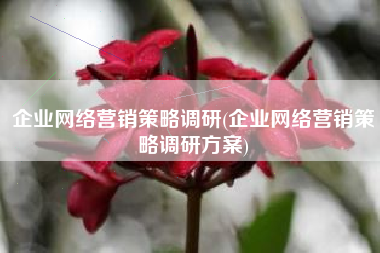 企业网络营销策略调研(企业网络营销策略调研方案)