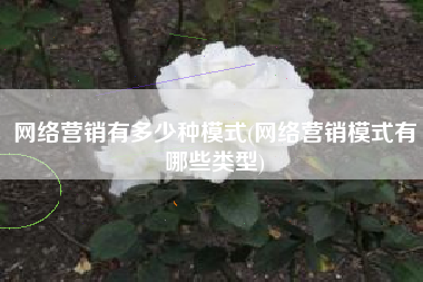 网络营销有多少种模式(网络营销模式有哪些类型)