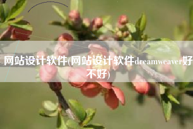 网站设计软件(网站设计软件dreamweaver好不好)