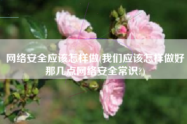 网络安全应该怎样做(我们应该怎样做好那几点网络安全常识?)