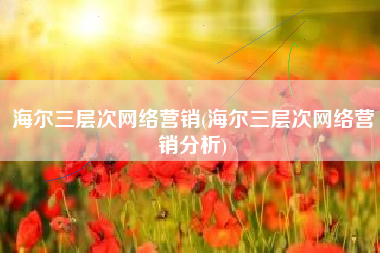 海尔三层次网络营销(海尔三层次网络营销分析)