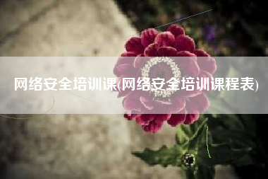 网络安全培训课(网络安全培训课程表)
