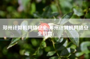 郑州计算机网络安全(郑州计算机网络安全招聘)