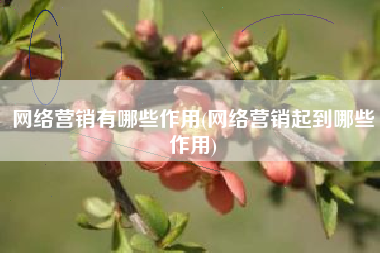网络营销有哪些作用(网络营销起到哪些作用)