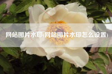 网站图片水印(网站图片水印怎么设置)