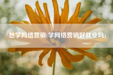 想学网络营销(学网络营销好就业吗)