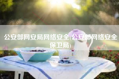 公安部网安局网络安全(公安部网络安全保卫局)