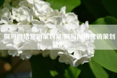 撰写网络营销策划案(撰写网络营销策划案例)