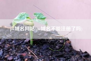 pw域名网站(pw域名不能注册了吗)