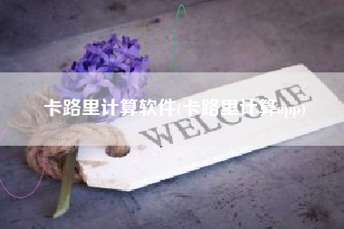 卡路里计算软件(卡路里计算app)