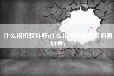 什么相机软件好(什么相机软件好用拍照好看)
