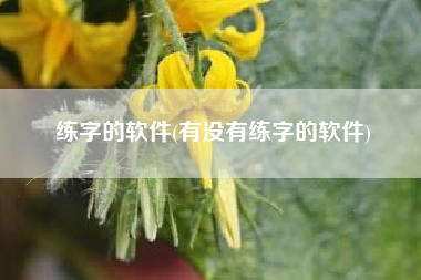 练字的软件(有没有练字的软件)