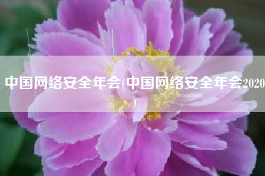 中国网络安全年会(中国网络安全年会2020)