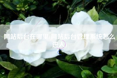 网站后台在哪里(网站后台管理系统怎么进入)