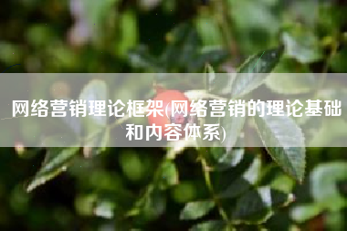 网络营销理论框架(网络营销的理论基础和内容体系)