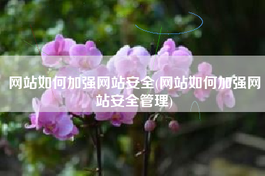 网站如何加强网站安全(网站如何加强网站安全管理)