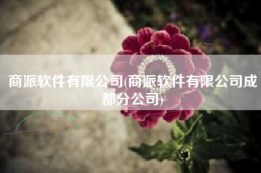 商派软件有限公司(商派软件有限公司成都分公司)