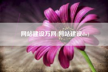 网站建设万网(网站建设dw)