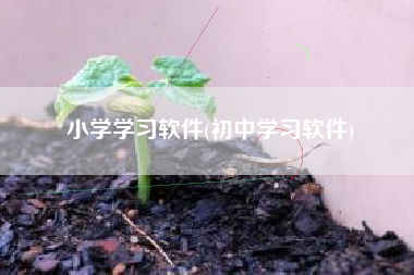 小学学习软件(初中学习软件)