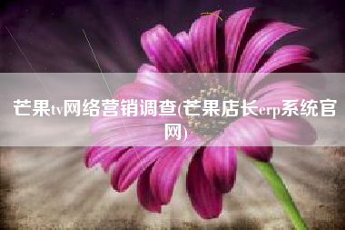 芒果tv网络营销调查(芒果店长erp系统官网)