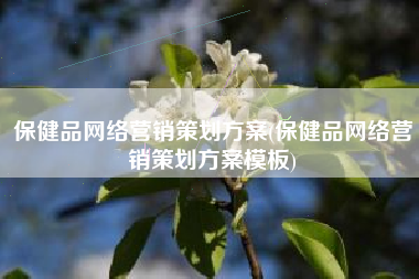 保健品网络营销策划方案(保健品网络营销策划方案模板)