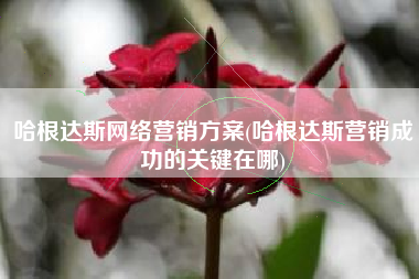 哈根达斯网络营销方案(哈根达斯营销成功的关键在哪)